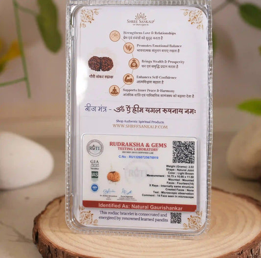 Gauri Shankar Rudraksha Lab Certified for Love & Harmony
